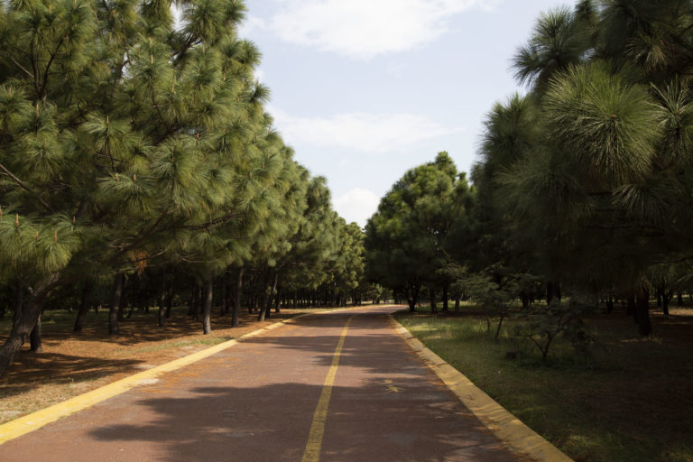 parque-metropolitano-pet-friendly-mexico