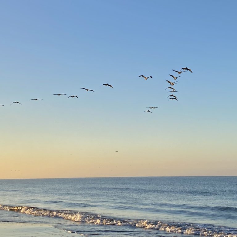 playas-en-sonora-playa-huatabampito