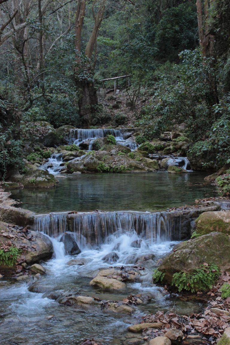 sierra-gorda-biosfera-mex