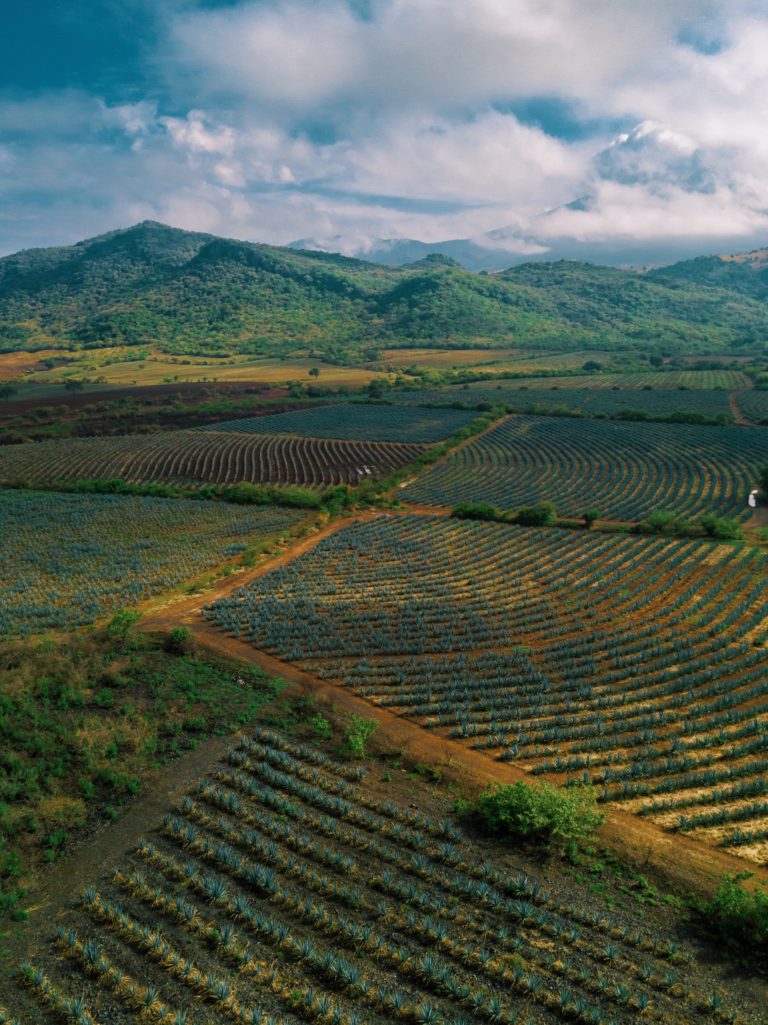 Processed with VSCO with l5 preset