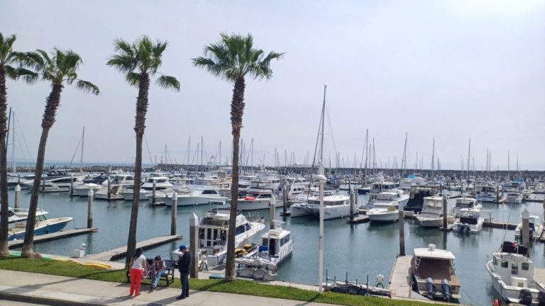 1bb8f99a-cultura_del_vino_en_mexico_13-mrm-1000×563