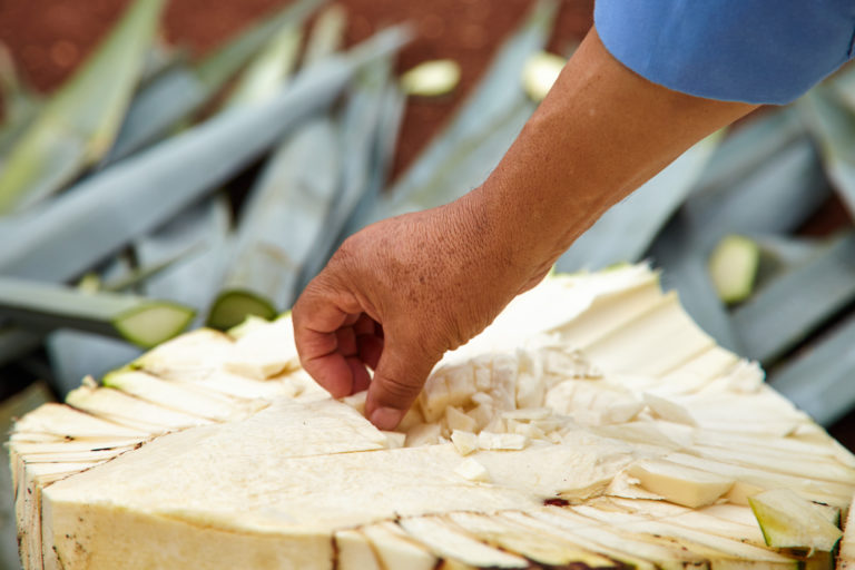 23.10.20_Tequila_Behind The Content 31