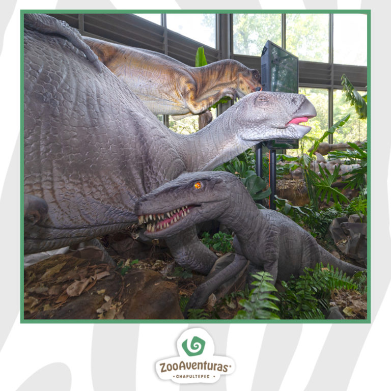 489011126_1194271049368515_7549463882568426249_n