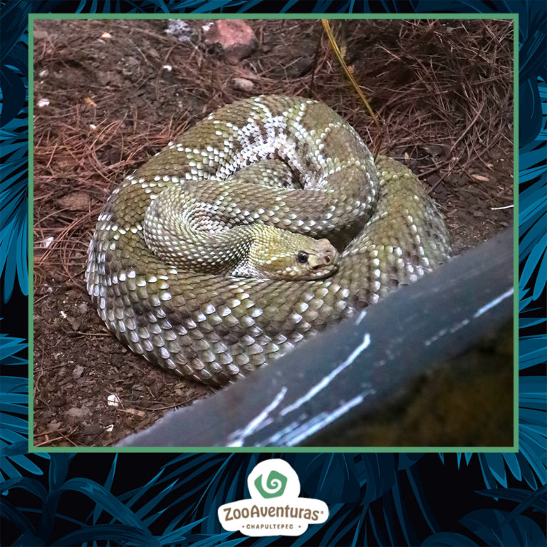 490066293_1196159659179654_5589995651246421741_n