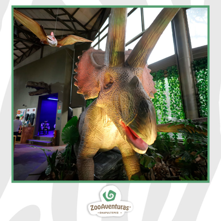 490751233_1199514412177512_7574744608502407719_n