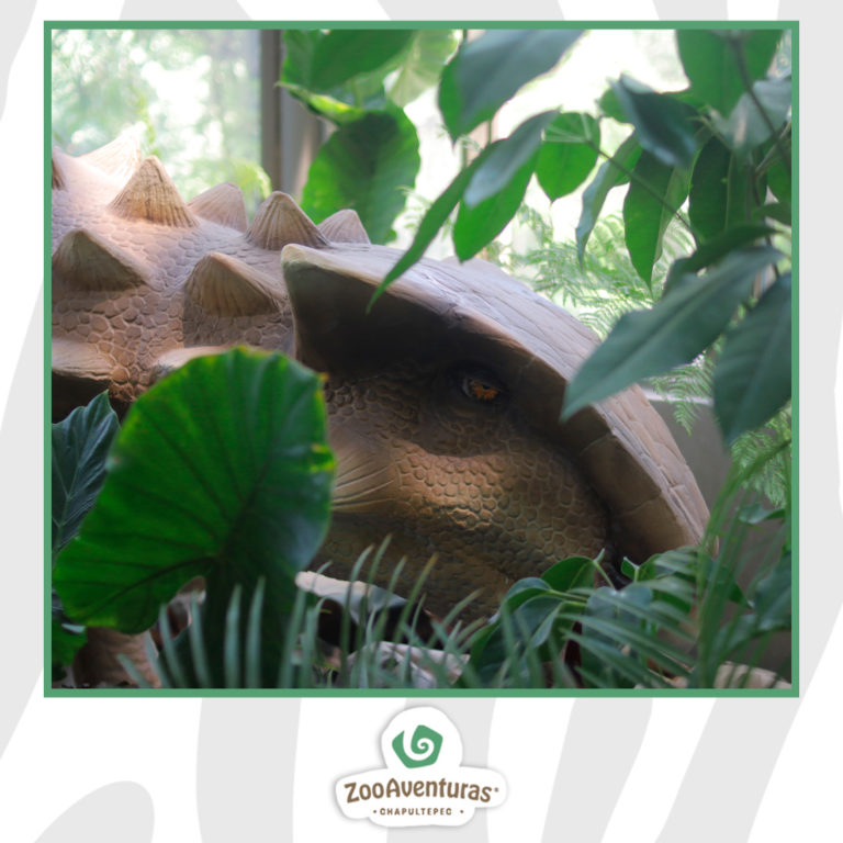 490916520_1200582658737354_6635157247976504445_n