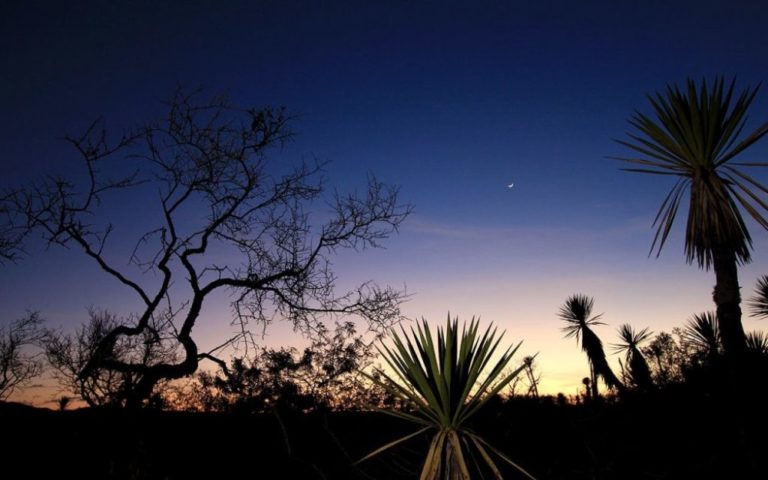 4fbf7d24-biosfera-tehuacan-cuicatlan-1024×640-1-1000×625