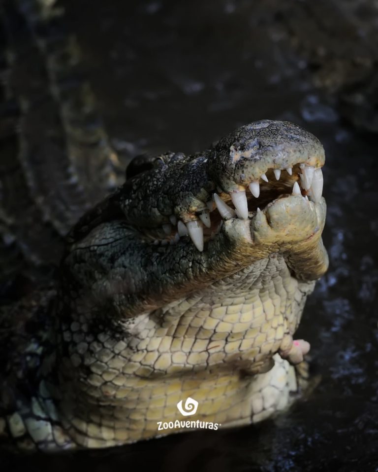 521122893_18521217793001324_3707237650271378522_n