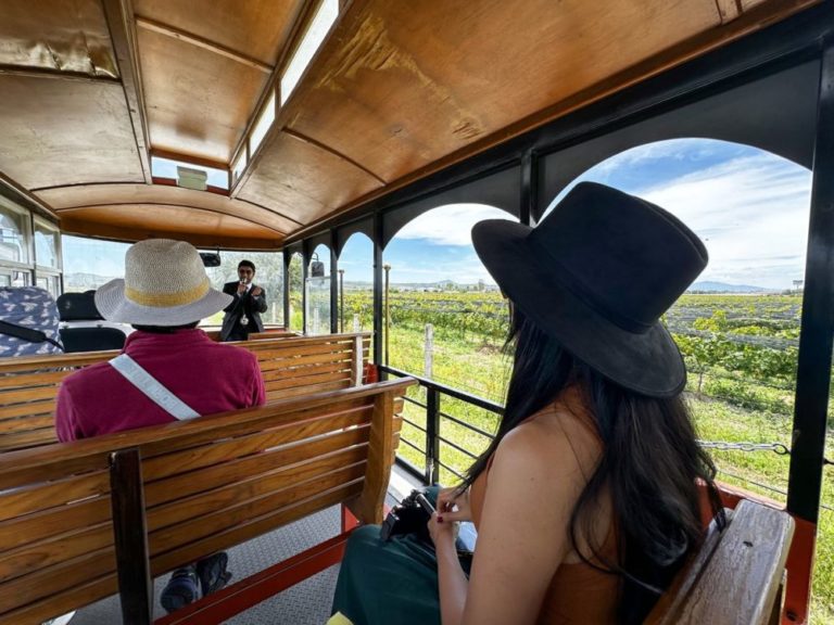 52231c01-cultura_del_vino_en_mexico_06-mrm-1000×750