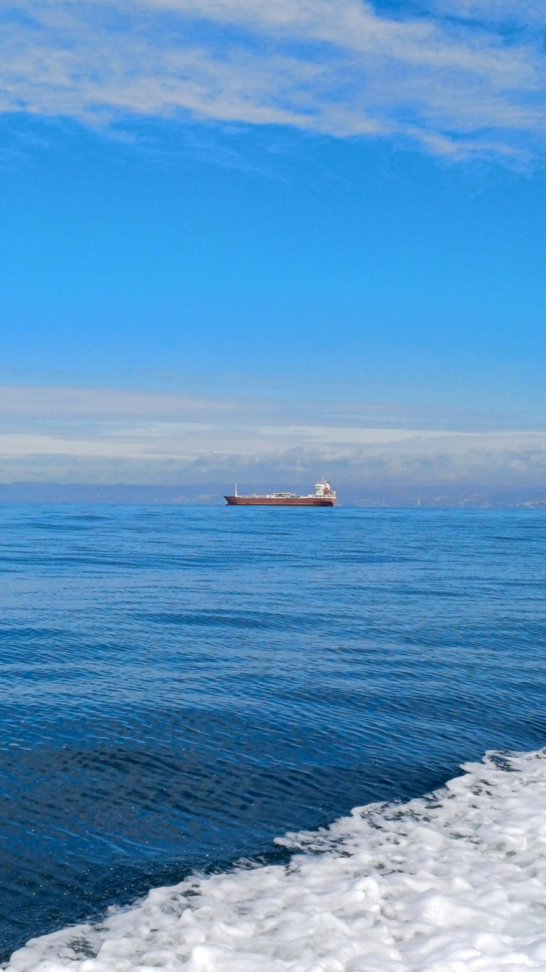 918ee663-20240323_101719-1000×1778