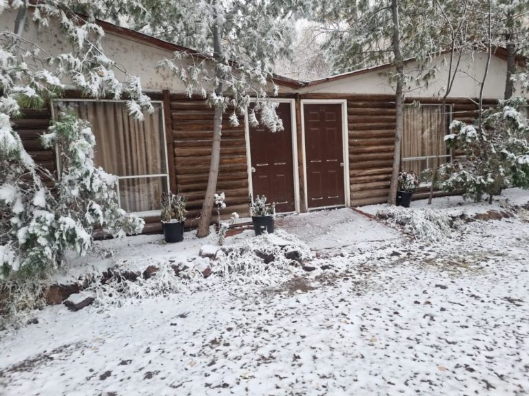 Albercas-y-toboganes-tio-albert-arbol