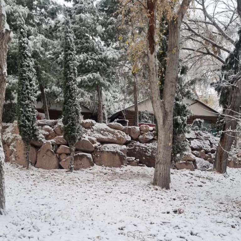 Albercas-y-toboganes-tio-albert-cabaña