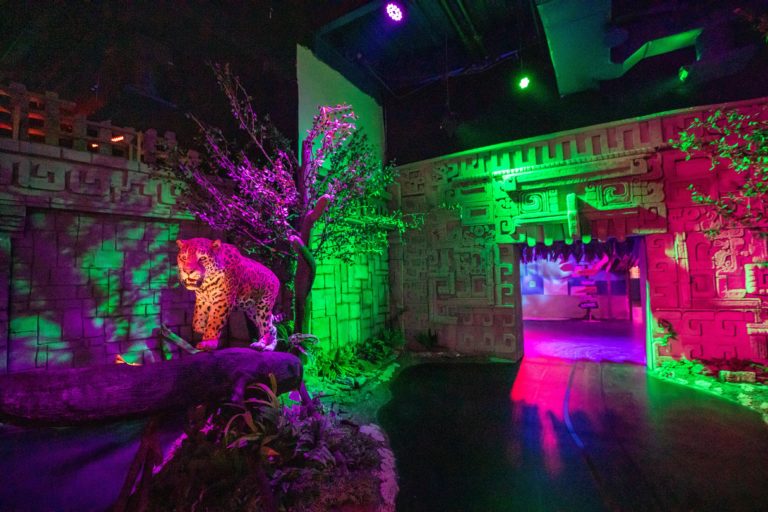 Odisea México: recorre el país sin salir de la ciudad