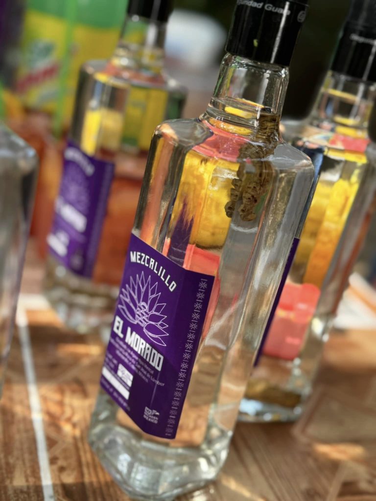 El mezcalillo Morado_Foto Cortesía Ivette Soto