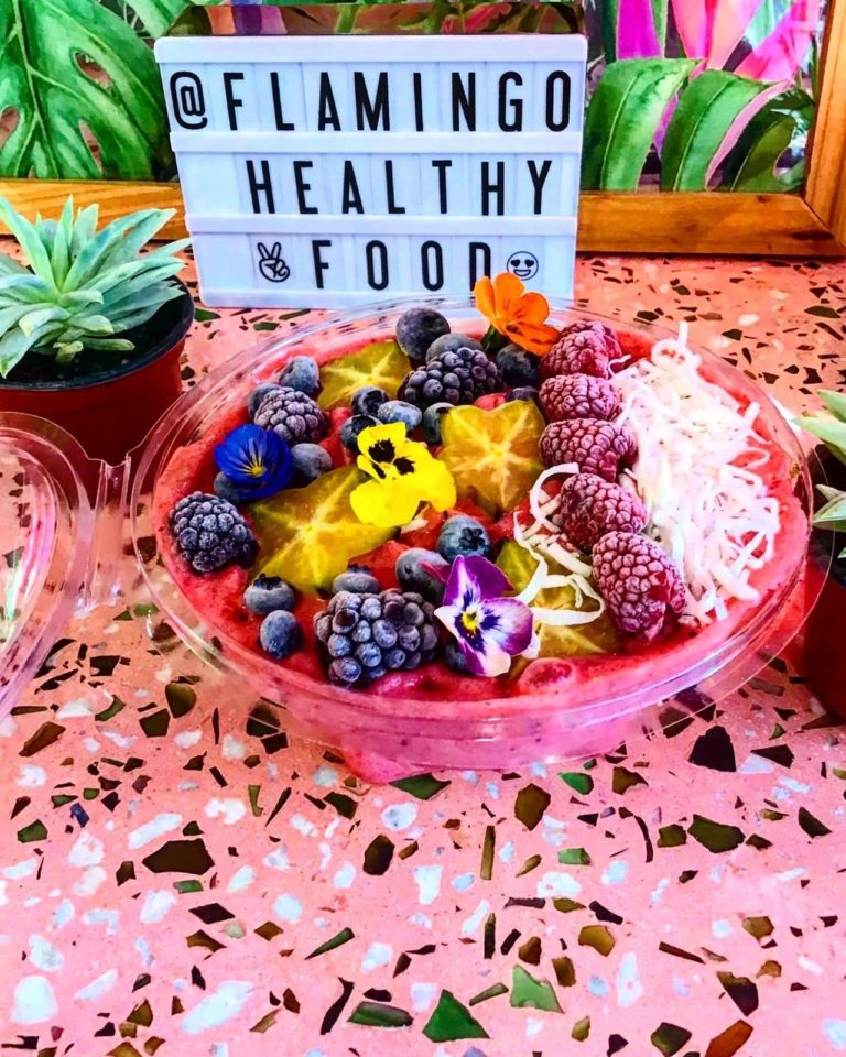 Flamingo-healty-coffee-mx-turismo