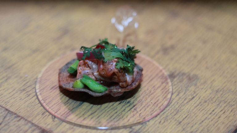 Nayarit Vallarta Gastronómica 2025: una experiencia única con chefs Estrella Michelin