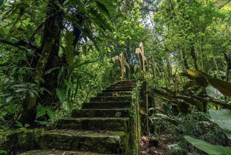 Las-pozas-san-luis-potosi