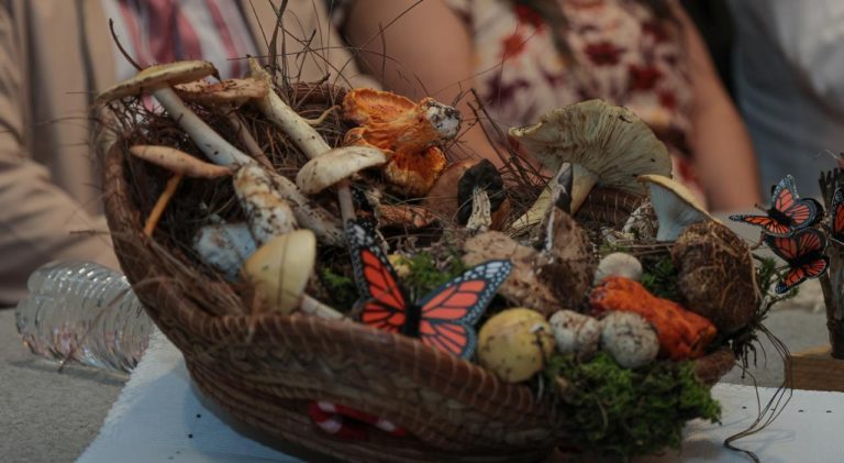 Más de 250 variedades de hongos te esperan en la feria de Senguio Sectur (4)
