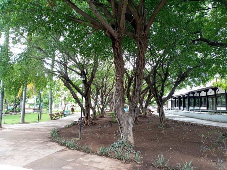 Parque-de-japón-en-managua