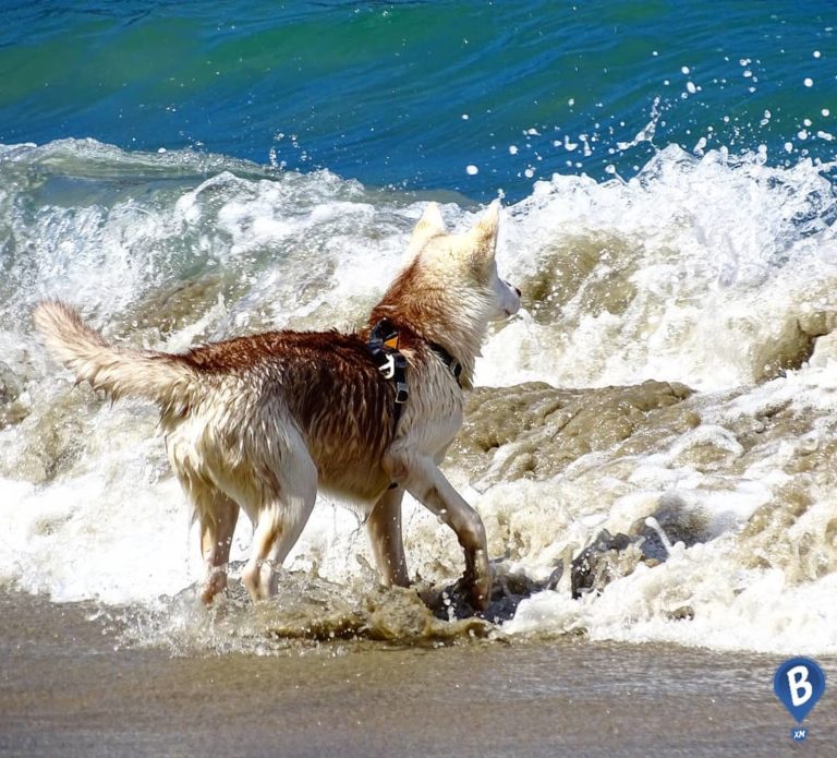 Playa-el-beso-turismo-mex