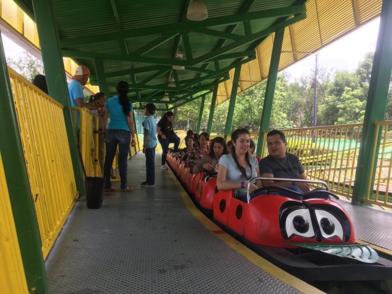 Selva-magica-mexico-turismo-viajes