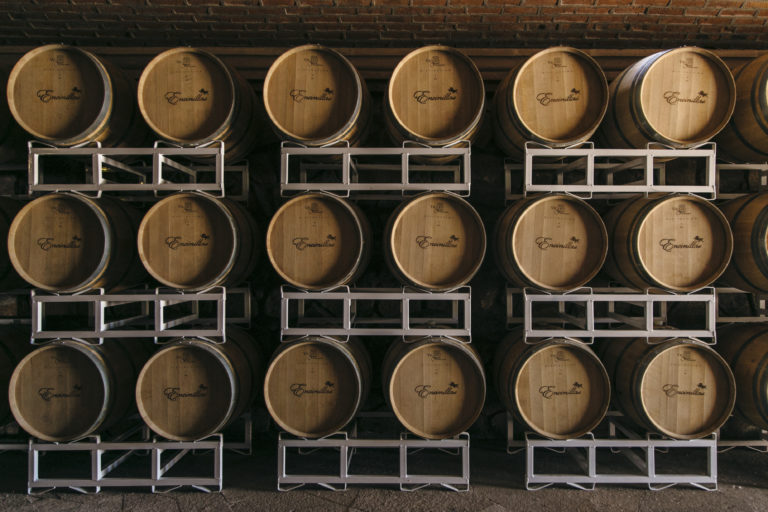 barriles-vendimicia-encinillas-en-chihuahua