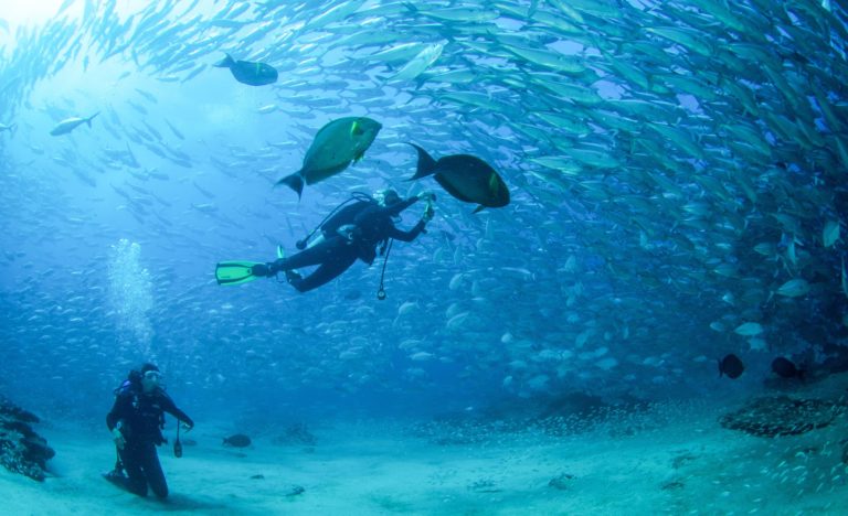 cabo-pulmo-parques-nacionales-impresionantes