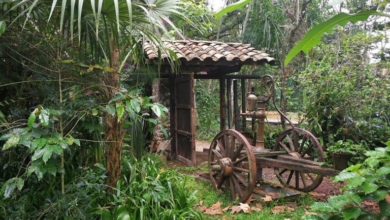 cafe-mexico-turismo-veracruz