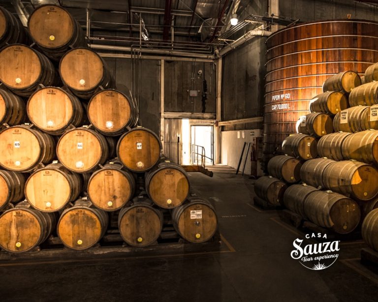 Casa Sauza: siembra, jima y brinda con tradición