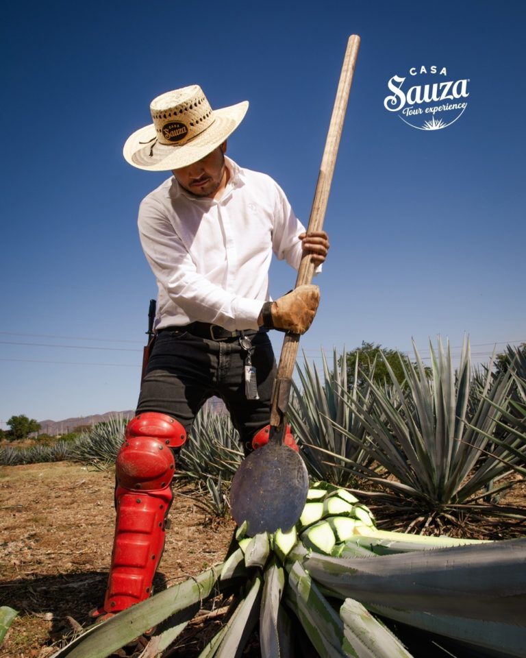 casa-sauza-tequila-jalisco-méxico
