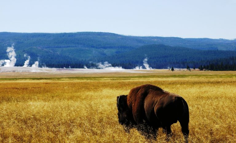 eu-yellowstone-parques-nacionales-impresionantes