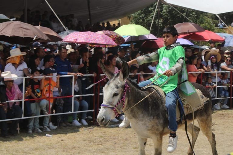 feria-del-burro-mexico-turismo-aventuras