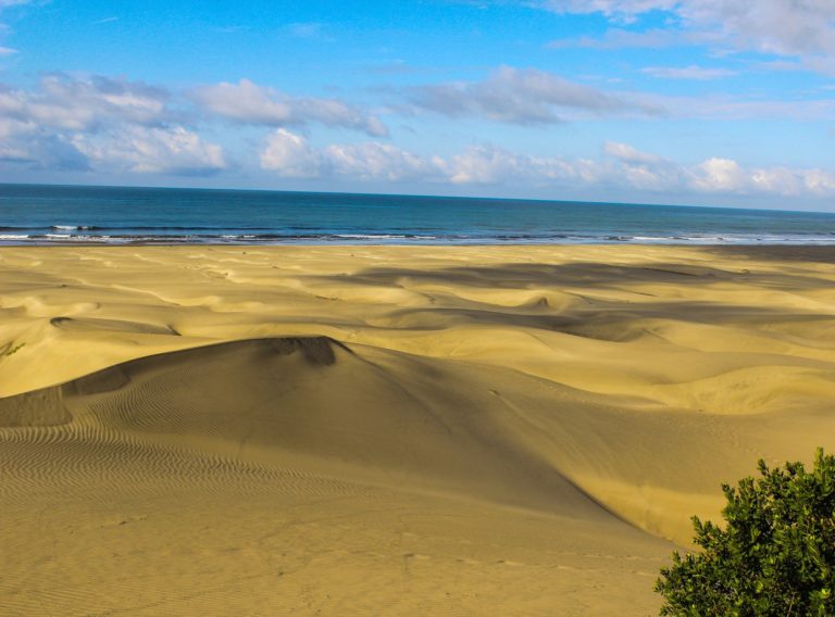 guasave-que-hacer-sinaloa-desierto-dunas