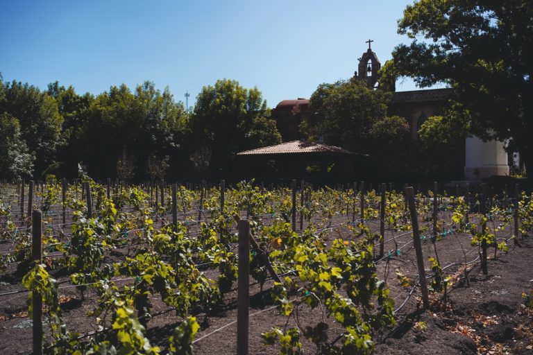 hacienda-el-vergil-en-queretaro
