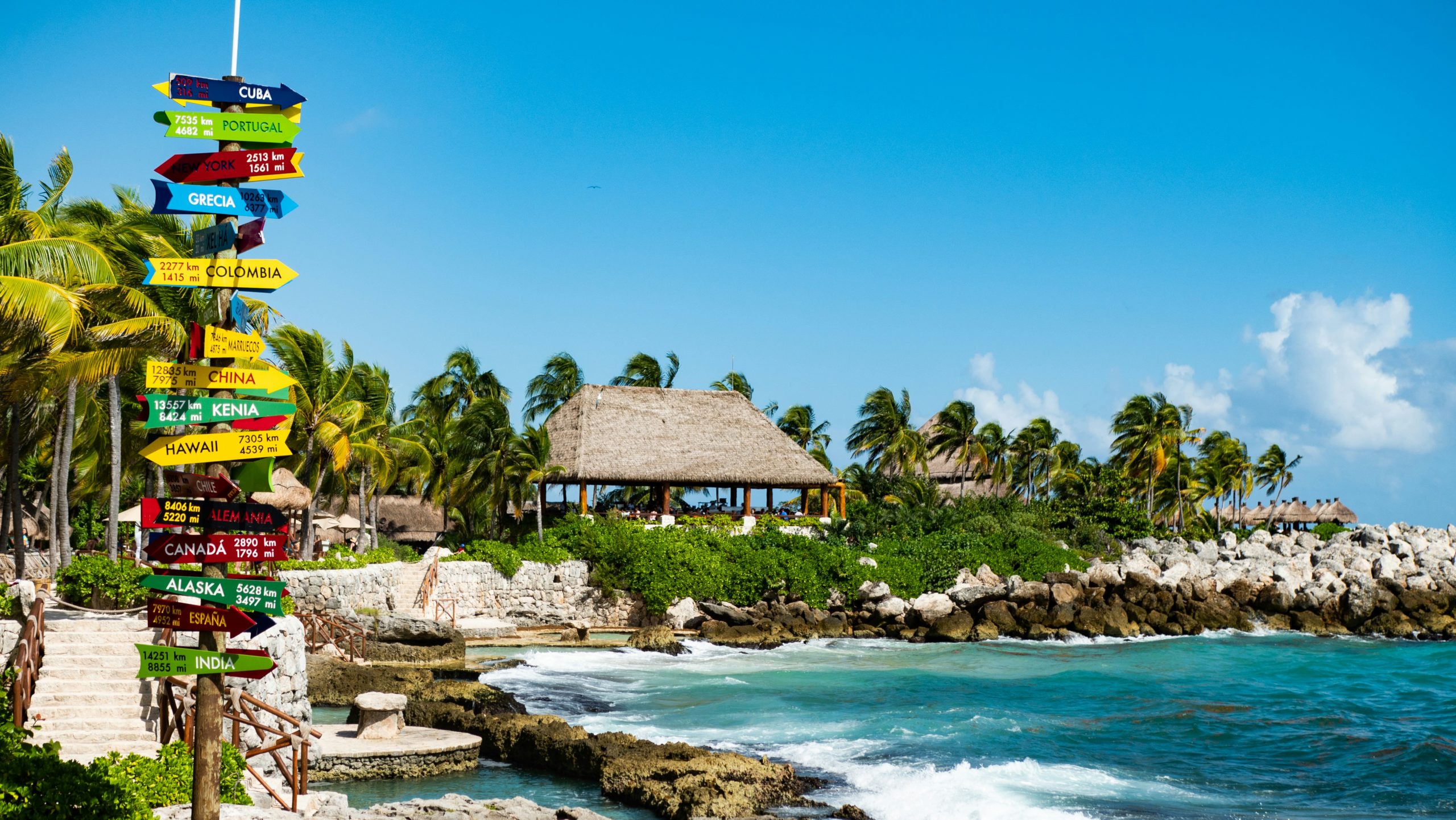 holbox quintana roo méxico aves