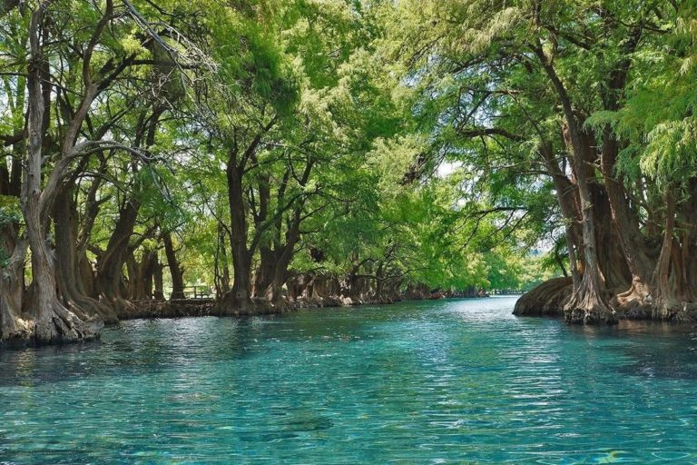lago-de-camécuaro-en-michoacán
