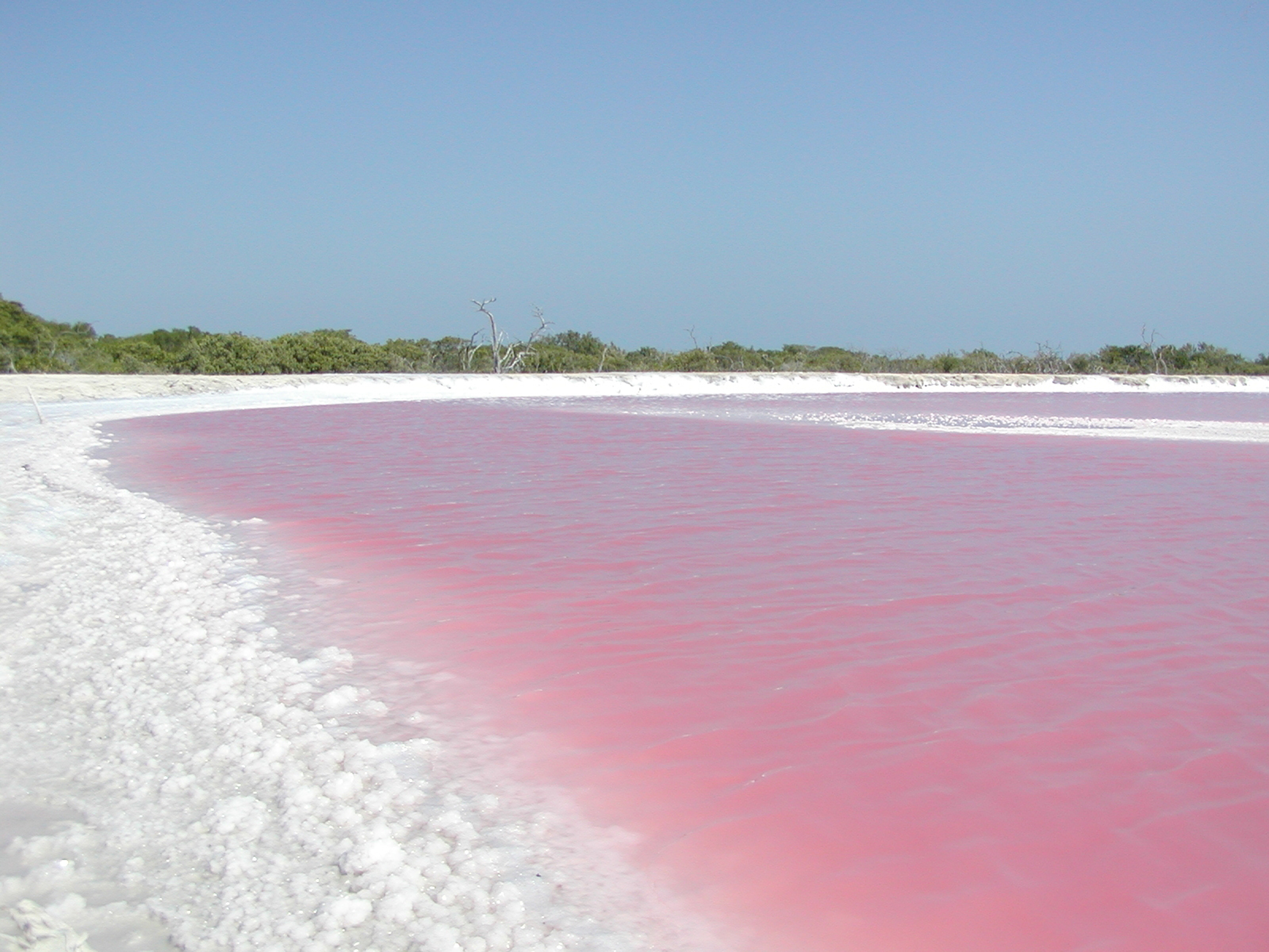 las coloradas lugares de yucatan mexico