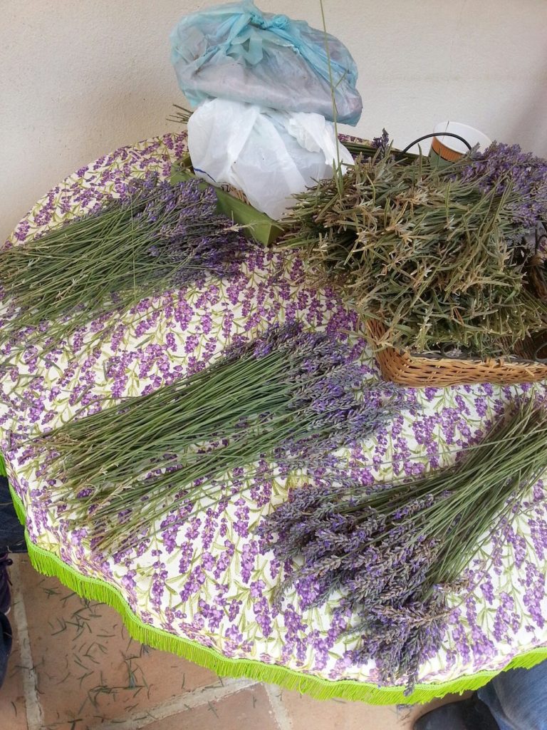 lavanda-rancho-san-martín