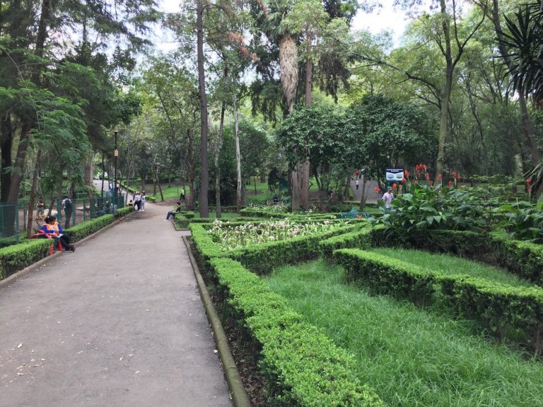 mex-turismo-de-aventuras-cdmx