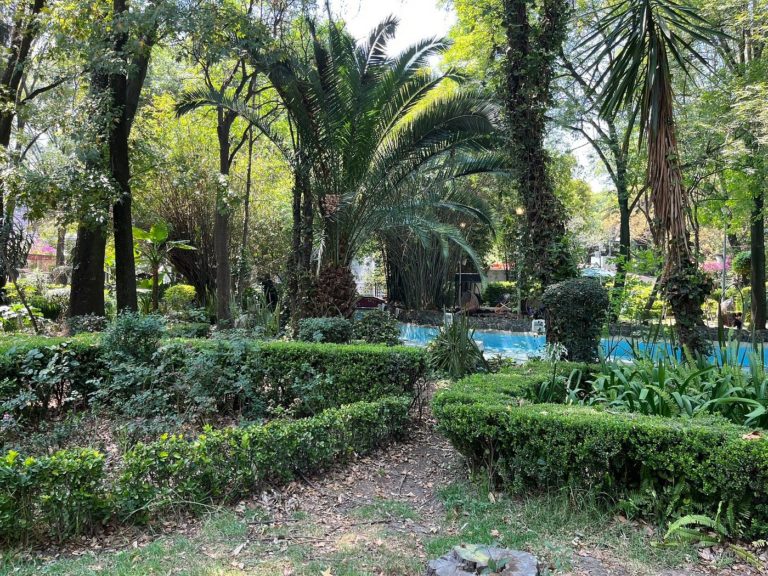 mex-turismo-de-aventuras-parque