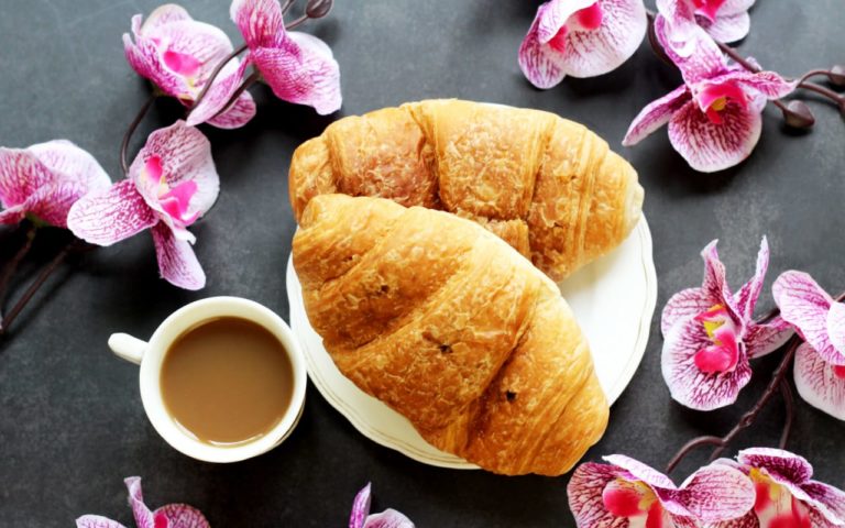 Coatepec: café, orquídeas y niebla mágica en Veracruz