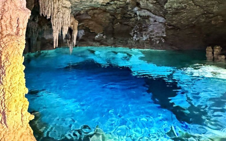 Bala’an K’aax: un paraíso oculto entre jaguares y ceibas