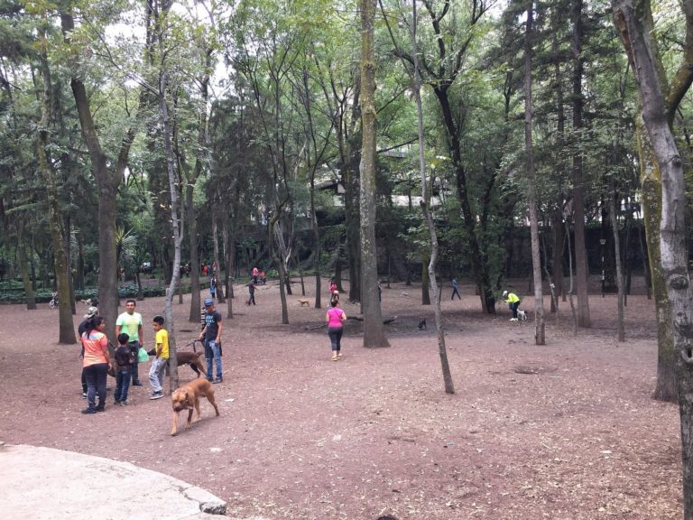 mexico-turismo-de-aventuras-cdmx