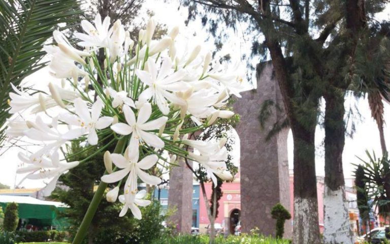 Otumba: un viaje en el tiempo y costumbres mexicanas