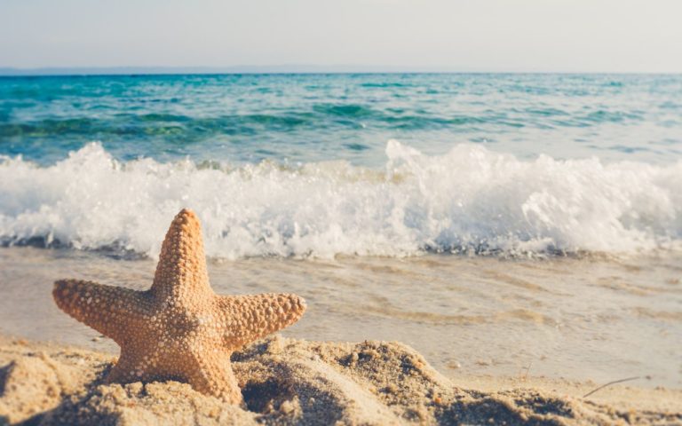 5 Playas en México, poco conocidas para disfrutar de naturaleza y tranquilidad