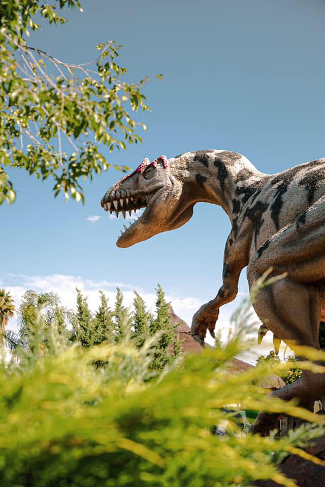 museo-rehilete-pachuca-hidalgo-que-ver