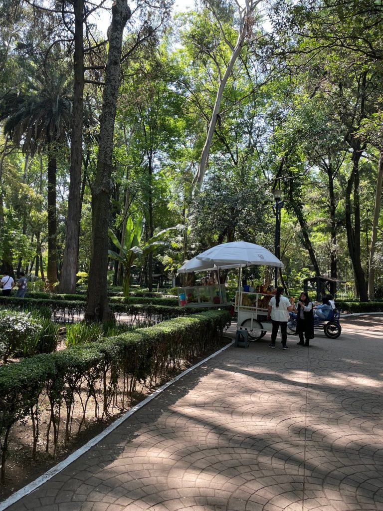 mx-turismo-de-aventuras-parque
