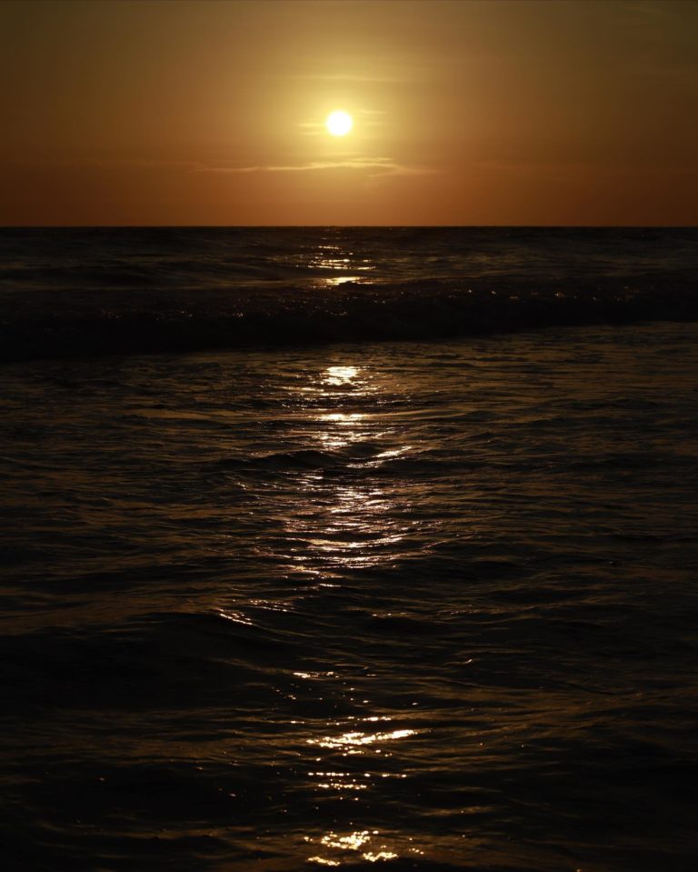 mx-turismo-isla-tambor-sinaloa