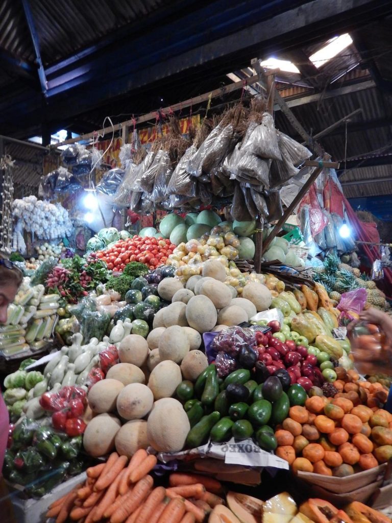 nicaragua-turismo-de-aventuras-vegetales