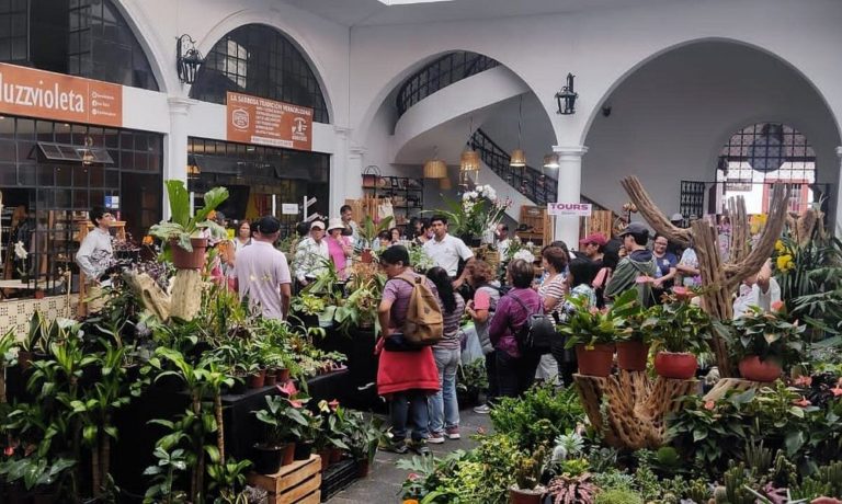 orquidarios-de-veracruz-mex-turismo